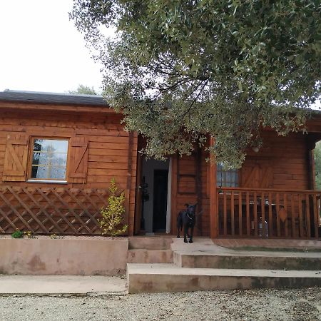 La Casa Del Estanque Vila Olocau del Rey Exterior foto