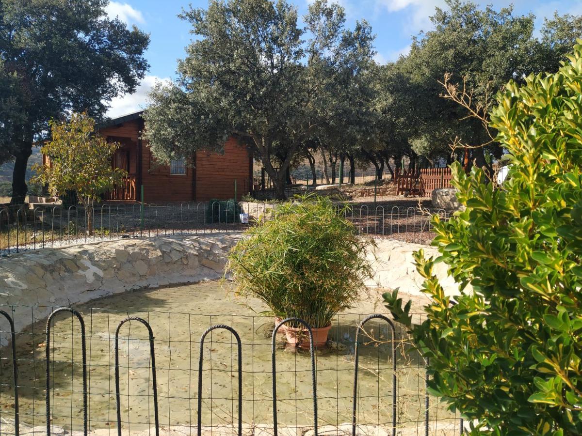 La Casa Del Estanque Vila Olocau del Rey Exterior foto